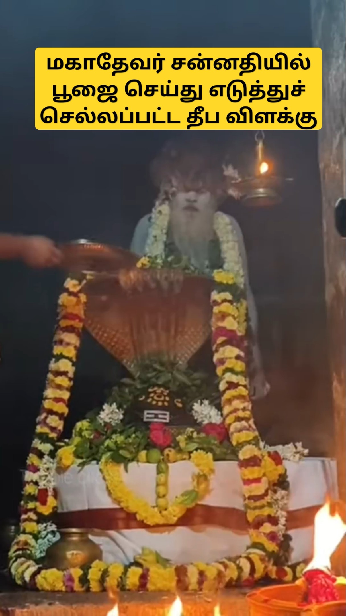 மகாதேவனும் சித்தரும் l 94 வயது மகானந்த சித்தர் l கார்த்திகை தீப விழாவில்